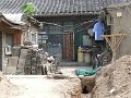Beijing (111)